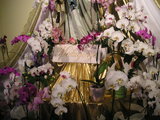 Flowers and title below statue Our Lady