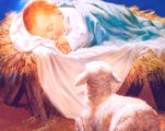 Newborn Jesus and sheep