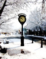 Winter Photo - Clocks