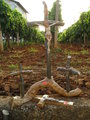 Crucifixes for sale in Medjugorje
