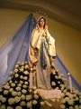 Statue of Our Lady of Lourdes at the St. James Church