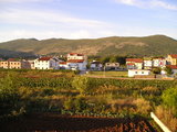 Morning view to North Medjugorje Hills