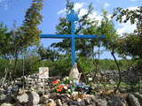 The smaller Blue Cross