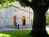 Entrance to the Siroki Brijeg Church and a  Tree